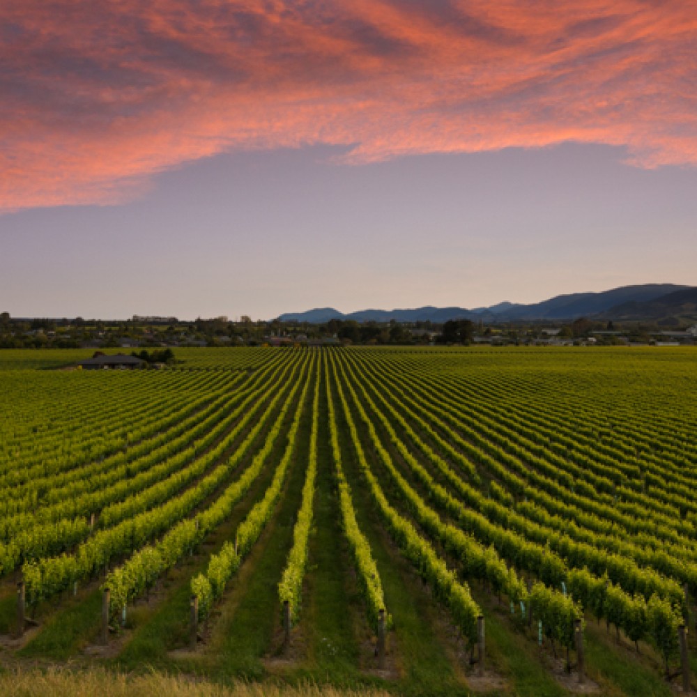 Seifried Cellar Door and Harvest Kitchen Heart of Biking